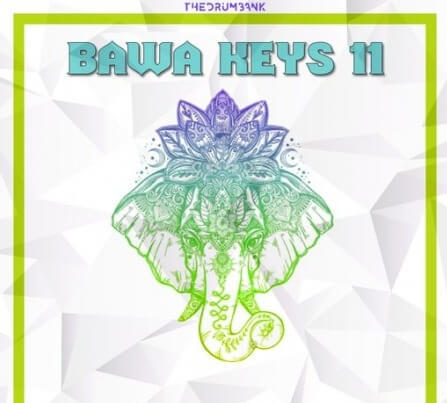 Dynasty Loops Bawa Keys 11 WAV